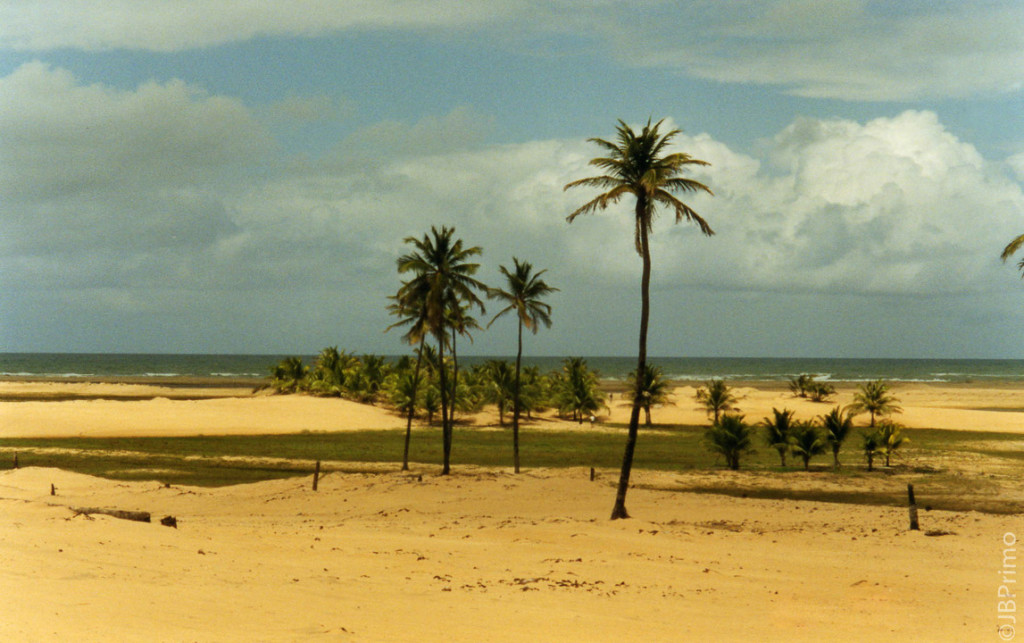 Brasil - Alagoas - Foz do Rio Sao Francisco - APA de Piacabucu