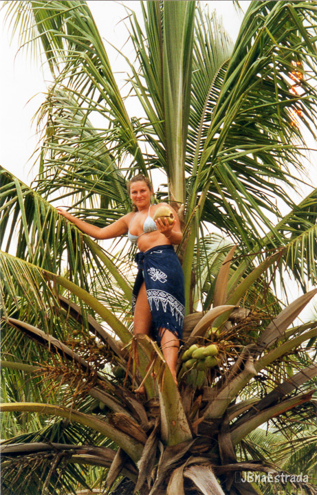 Brasil - Alagoas - Foz do Rio Sao Francisco - APA de Piacabucu