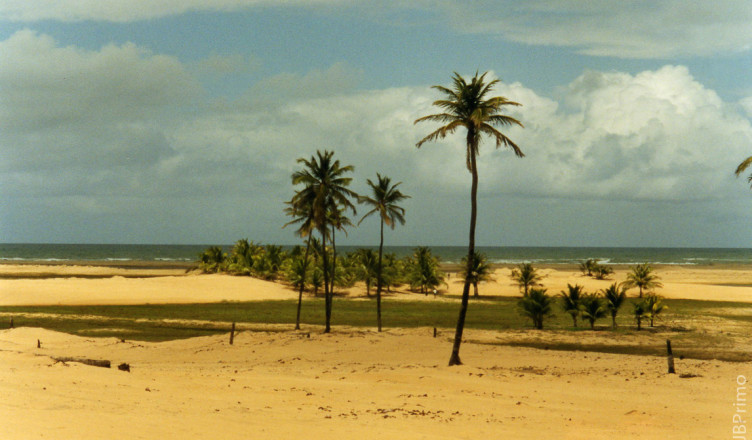 Brasil - Alagoas - Foz do Rio Sao Francisco - APA de Piacabucu