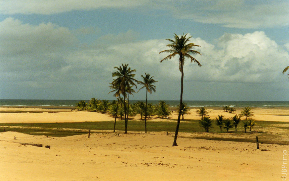 Brasil - Alagoas - Foz do Rio Sao Francisco - APA de Piacabucu
