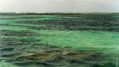 Brasil - Alagoas - Maragogi - Mergulho nos Recifes de Corais
