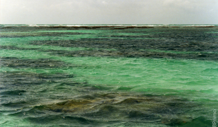 Brasil - Alagoas - Maragogi - Mergulho nos Recifes de Corais