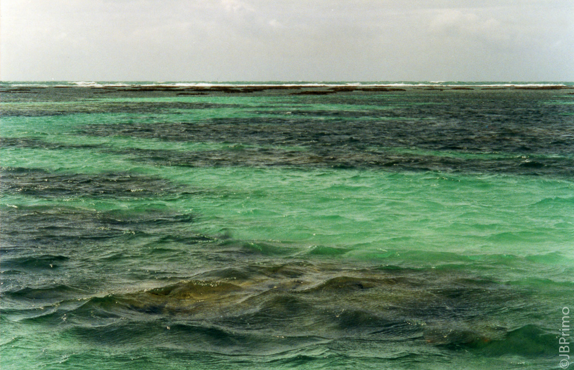 Brasil - Alagoas - Maragogi - Mergulho nos Recifes de Corais
