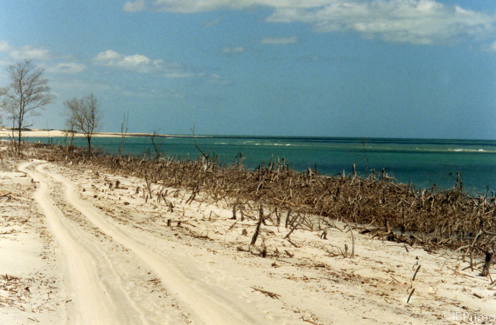 Brasil - Ceara - Jericoacoara - Mangue Seco
