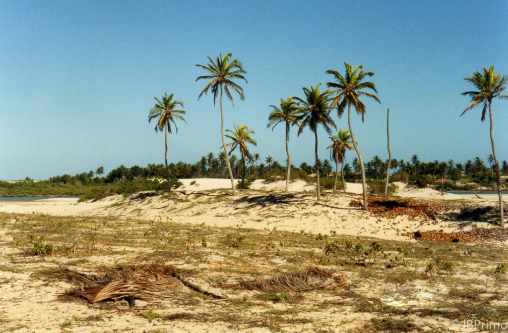 Brasil - Ceara - Jericoacoara - Tatajuba