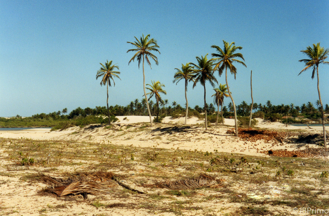 Brasil - Ceara - Jericoacoara - Tatajuba