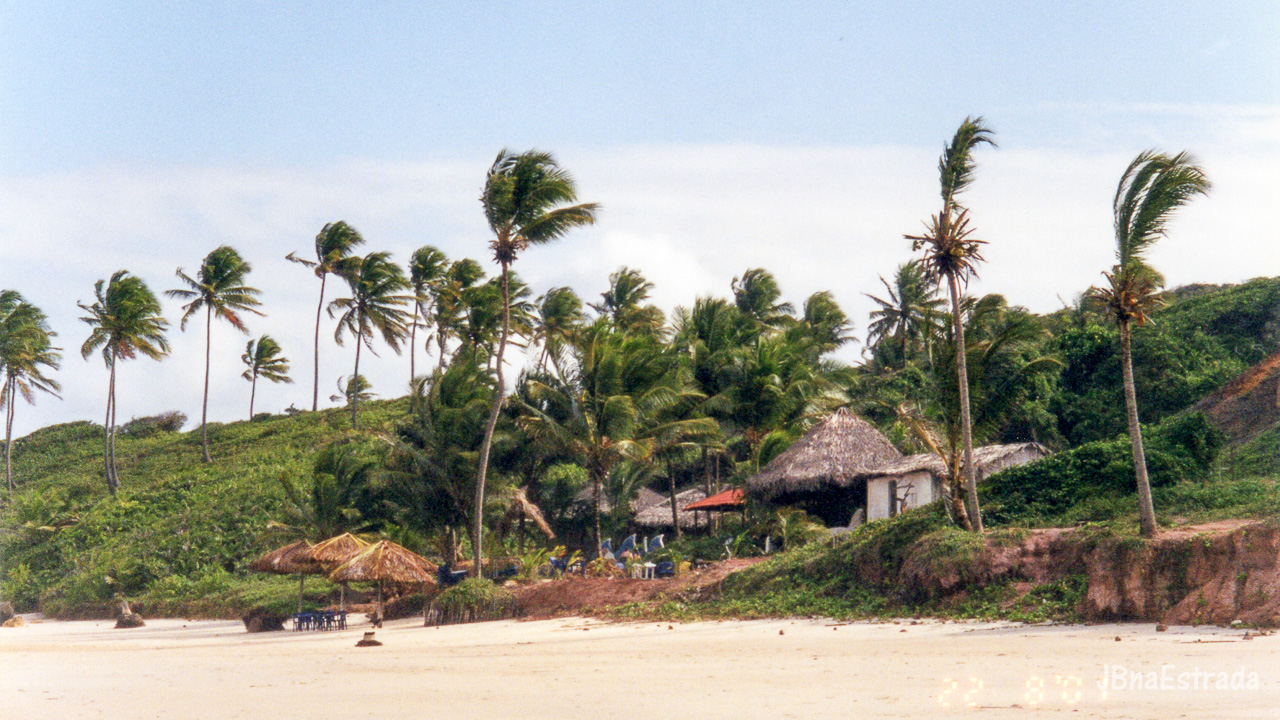Brasil - Paraiba - Praia de Tambaba