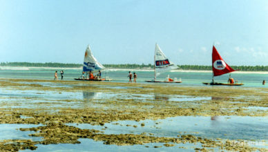 Brasil - Pernambuco - Porto de Galinhas