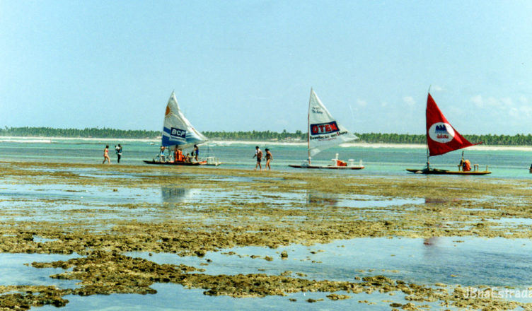 Brasil - Pernambuco - Porto de Galinhas