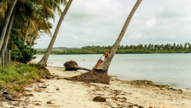 Brasil - Pernambuco - Praia dos Carneiros