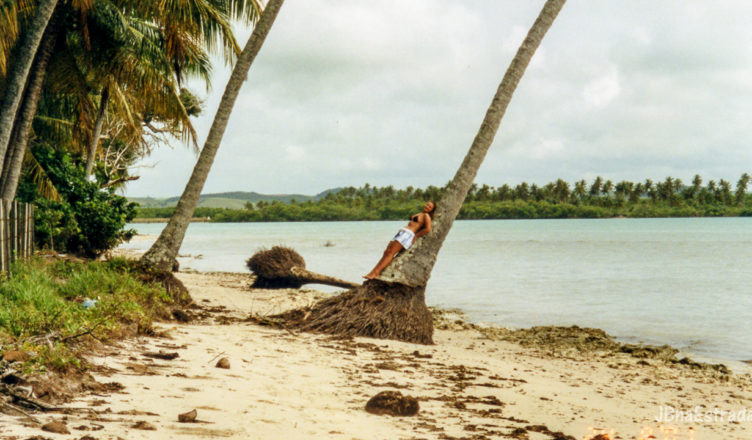 Brasil - Pernambuco - Praia dos Carneiros