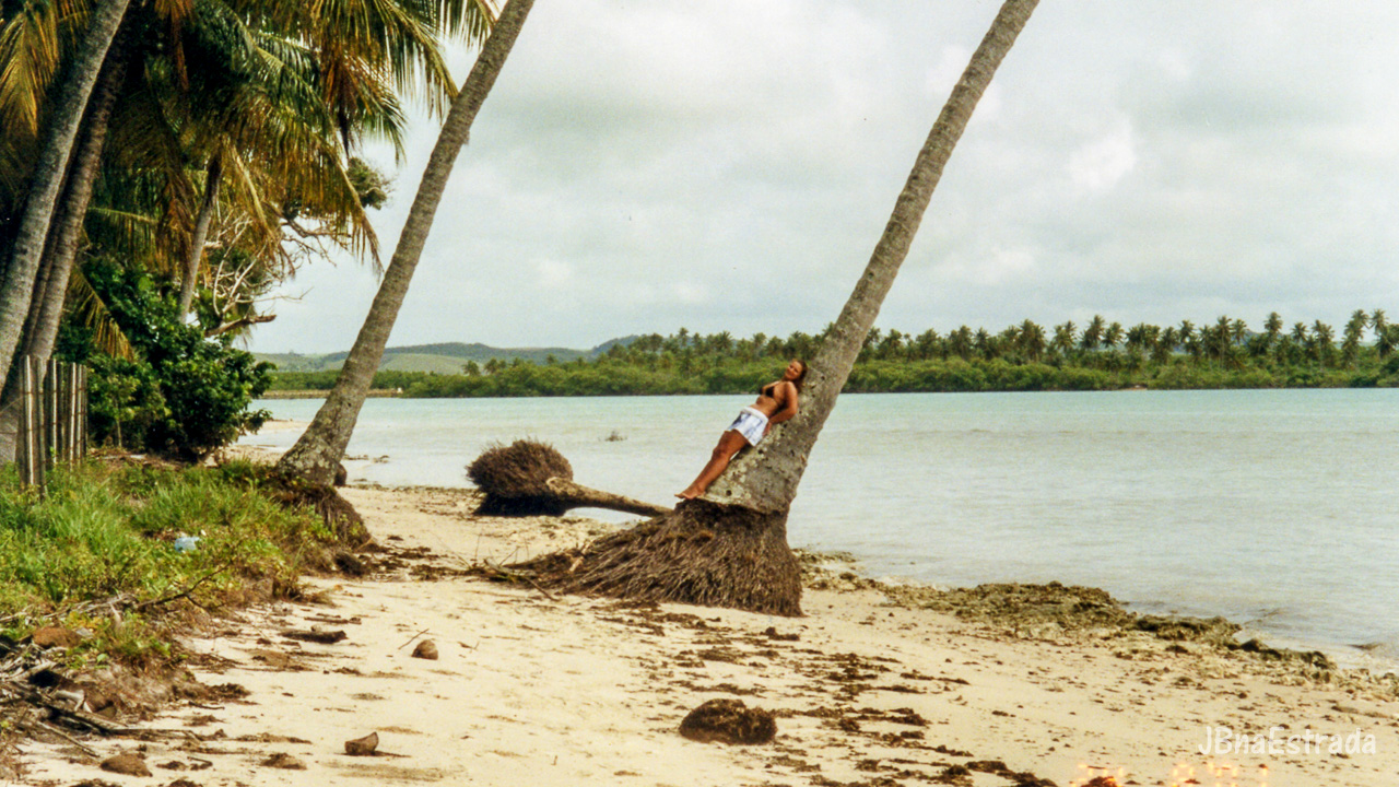 Brasil - Pernambuco - Praia dos Carneiros