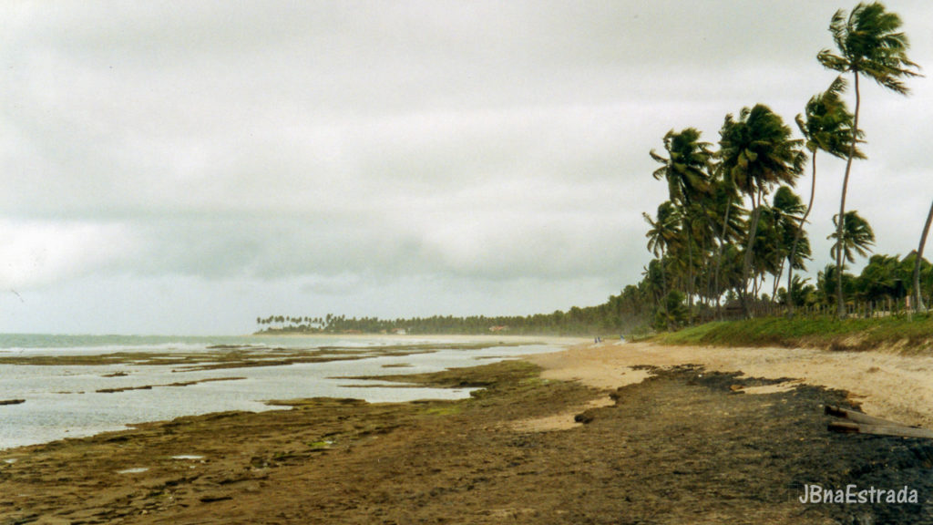 Brasil - Pernambuco - Praia de Muro Alto