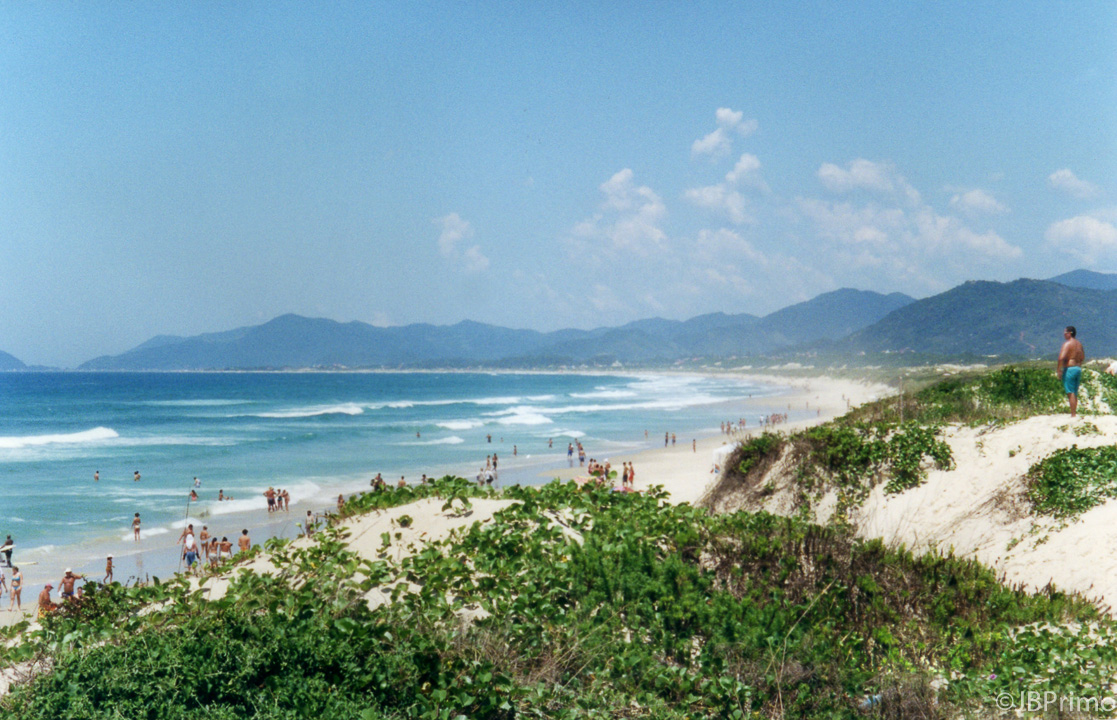Brasil - Santa Catarina - Florianopolis - Praia da Joaquina