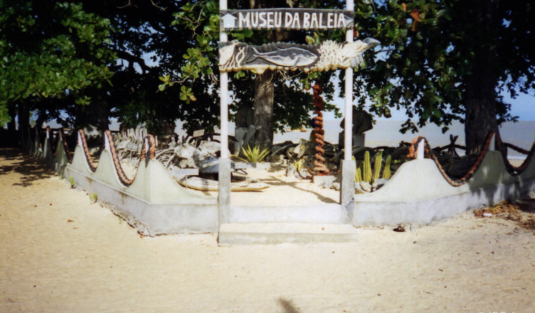 Brasil - Bahia - Caravelas - Praia de Grauca - Museu da Baleia