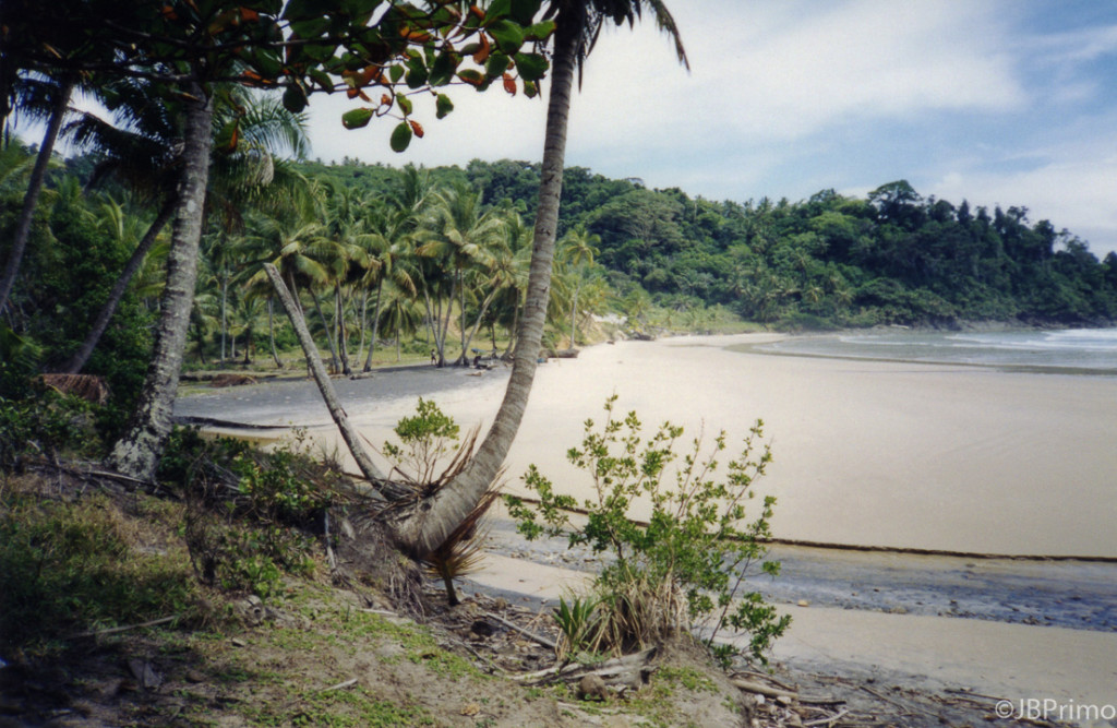 Brasil - Bahia - Itacare - Praia da Engenhoca