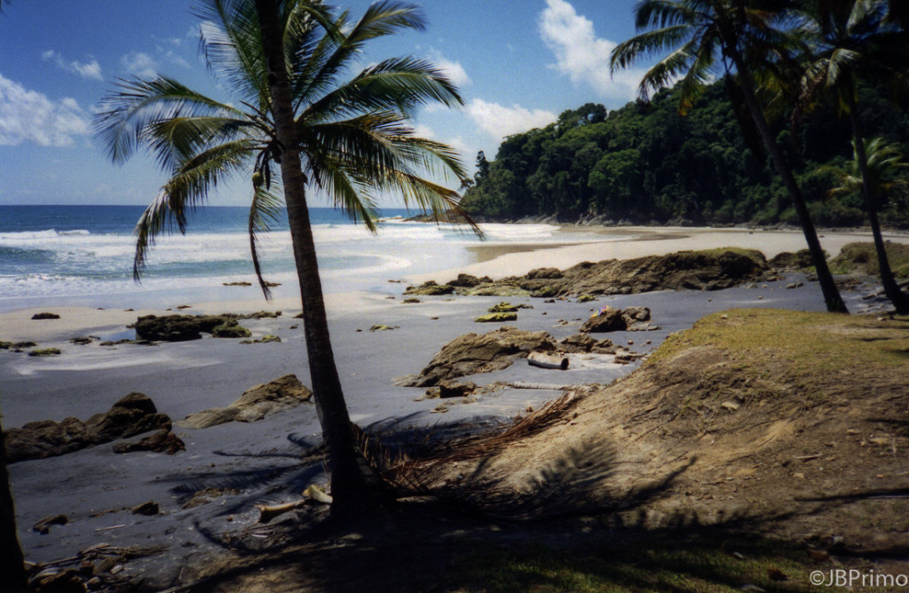 Brasil - Bahia - Itacare - Praia de Jeribucacu