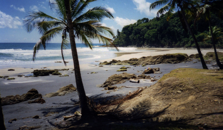 Brasil - Bahia - Itacare - Praia de Jeribucacu