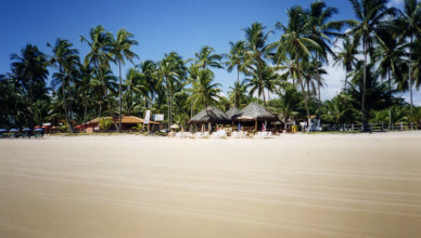 Brasil - Bahia - Peninsula de Marau - Taipus de Fora
