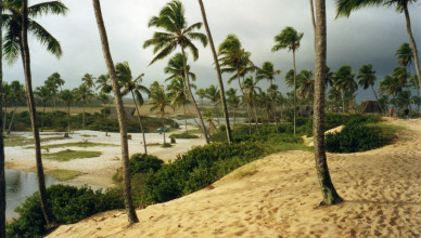 Brasil - Bahia - Praia de Arembepe - APA do Rio Capivari (Estrada do Coco)