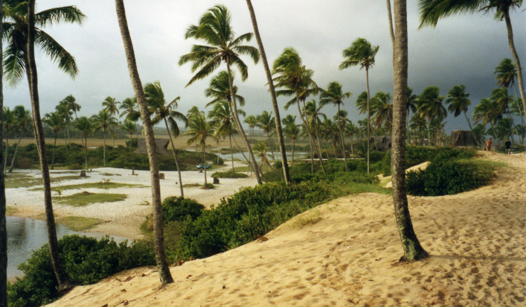Brasil - Bahia - Praia de Arembepe - APA do Rio Capivari (Estrada do Coco)