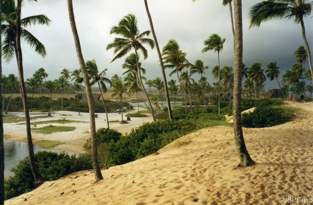 Brasil - Bahia - Praia de Arembepe - APA do Rio Capivari (Estrada do Coco)