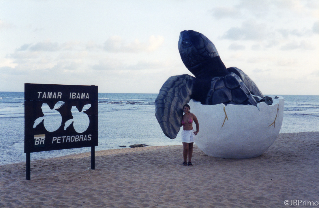 Brasil - Bahia - Praia do Forte - Projeto Tamar