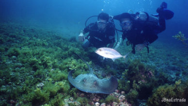 Brasil - Fernando de Noronha - Batismo (Ecoturismo)