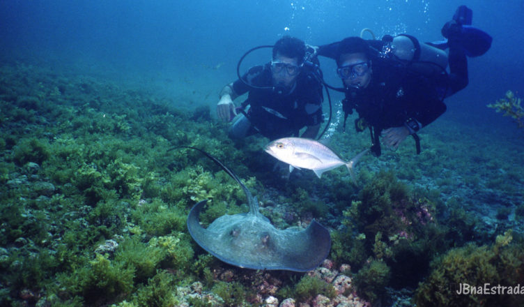 Brasil - Fernando de Noronha - Batismo (Ecoturismo)