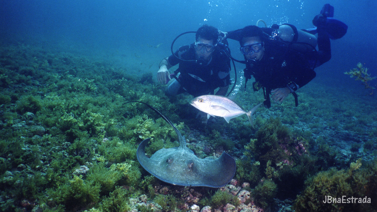 Brasil - Fernando de Noronha - Batismo (Ecoturismo)