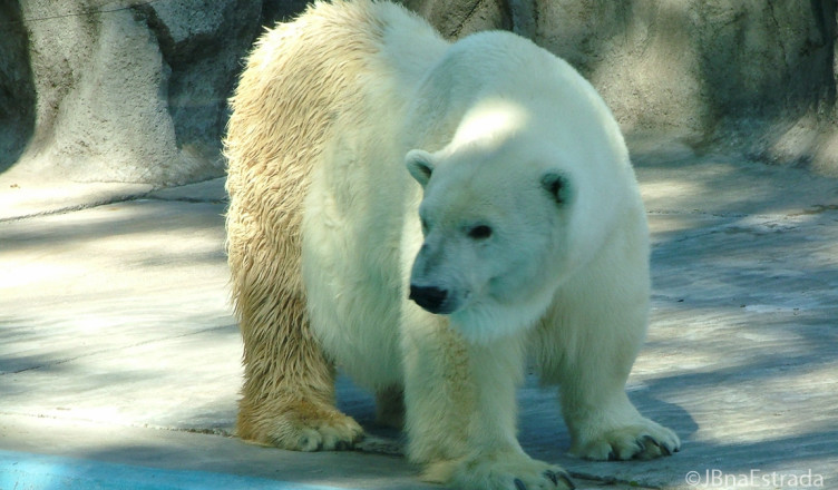 Argentina - Buenos Aires - Jardim Zoologico
