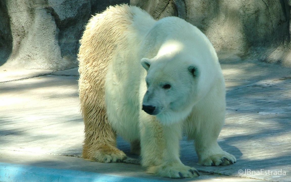 Argentina - Buenos Aires - Jardim Zoologico
