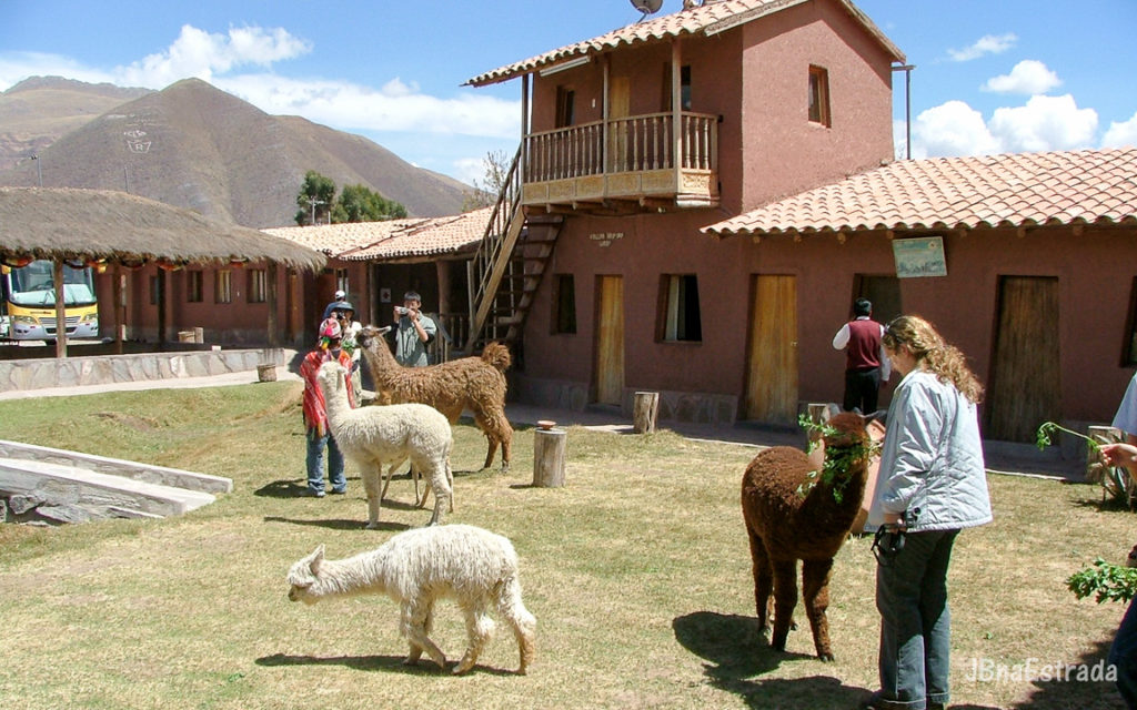 Peru - Viagem para Puno