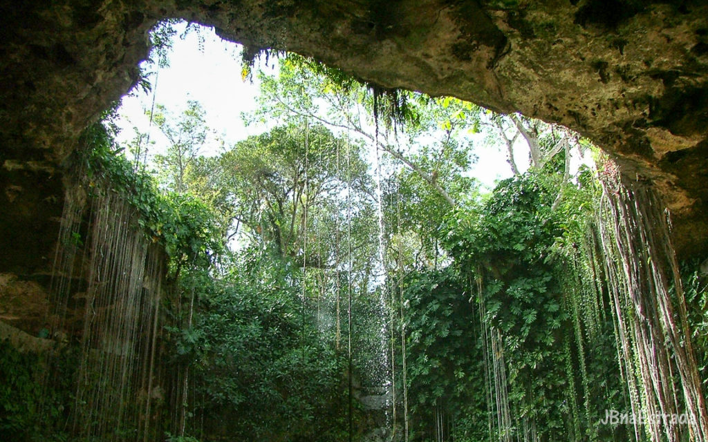 Mexico - Chichen Itza - Cenote Ik Kil