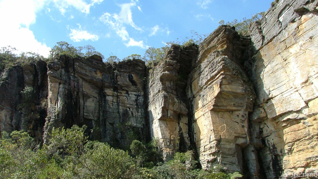 Brasil - Minas Gerais - Parque Estadual da Serra do Ibitipoca