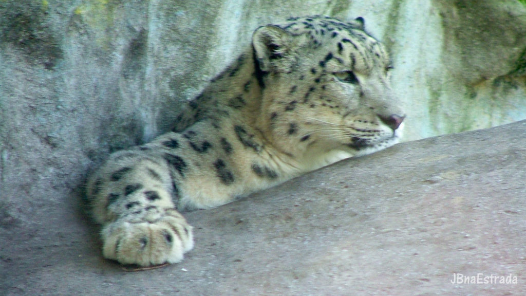 Argentina - Buenos Aires - Jardim Zoologico