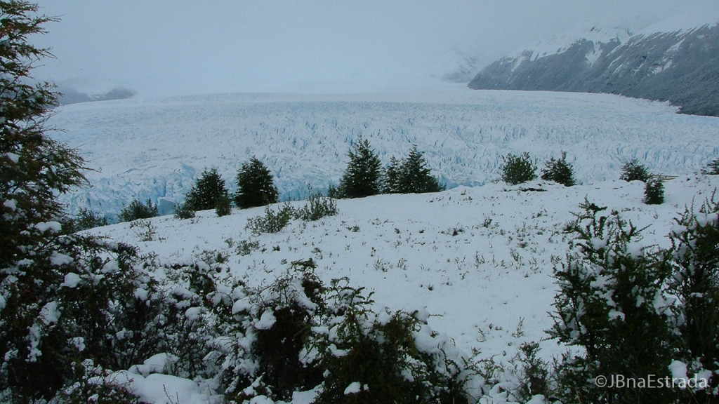 Argentina - El Calafate - PN Los Glaciares - Glaciar Perito Moreno