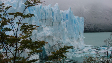 Argentina - El Calafate - PN Los Glaciares - Glaciar Perito Moreno