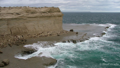 Argentina - Puerto Madryn - Peninsula Valdes