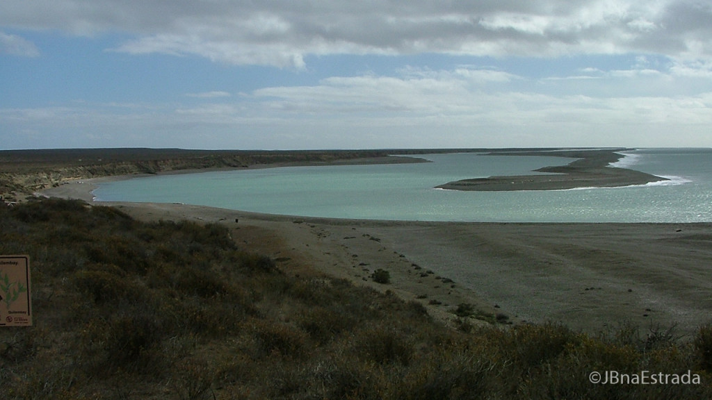 Argentina - Puerto Madryn - Peninsula Valdes - Caleta Valdes