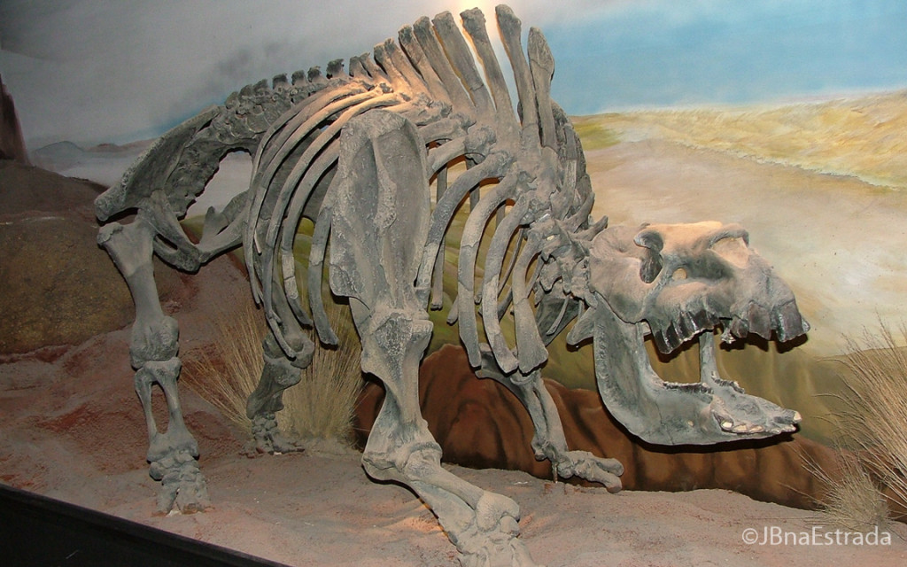 Argentina - Trelew - Museo Paleontologico