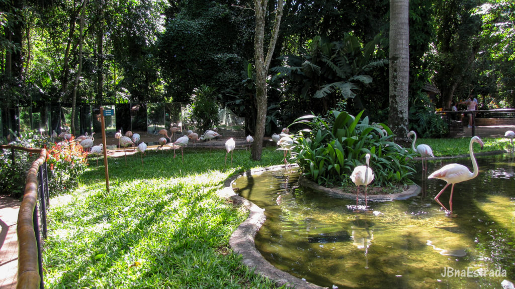 Brasil - Parana - Foz do Iguacu - Parque das Aves