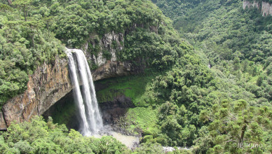 Brasil - Rio Grande do Sul - Canela - Parque do Caracol - Cascata do Caracol (Serra Gaúcha)