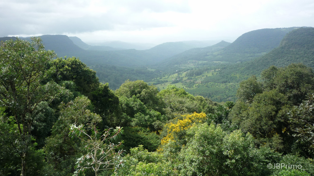 Brasil - Rio Grande do Sul - Gramado - Vista do Vale do Quilombo