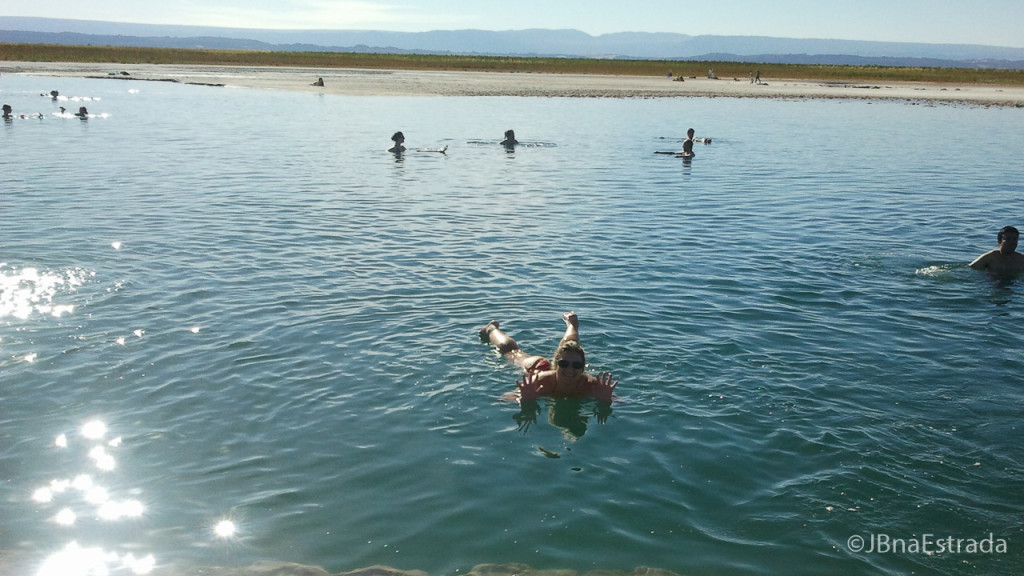 Chile - Atacama - Laguna Cejar