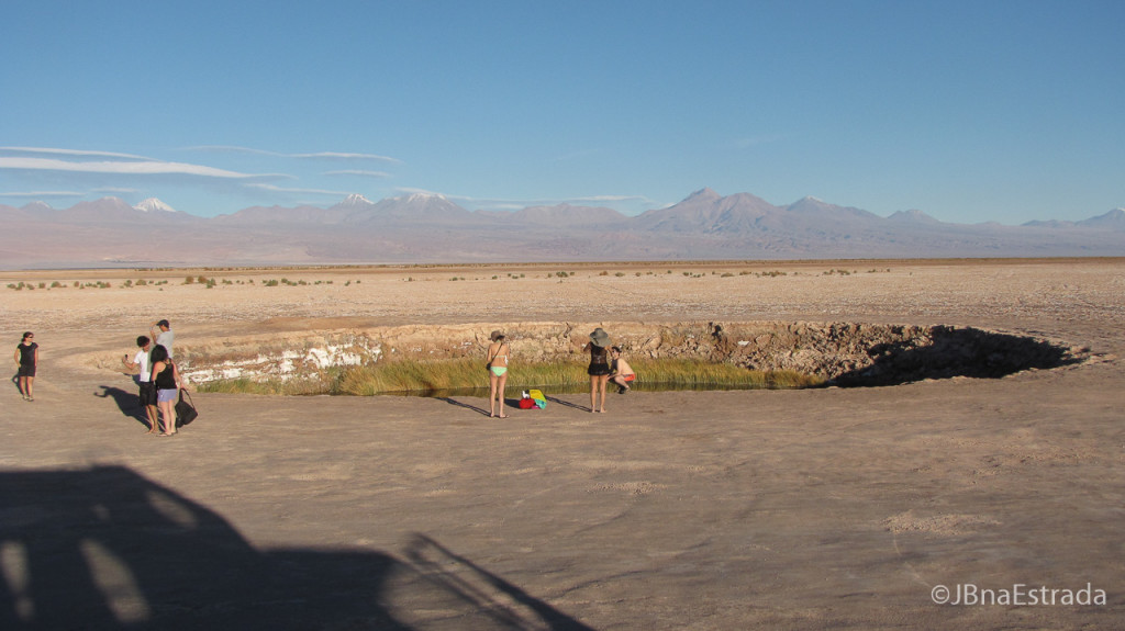 Chile - Atacama - Ojos del Salar