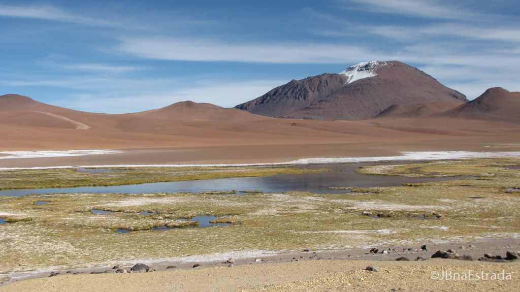 Chile - Atacama - Reserva Nacional Los Flamencos