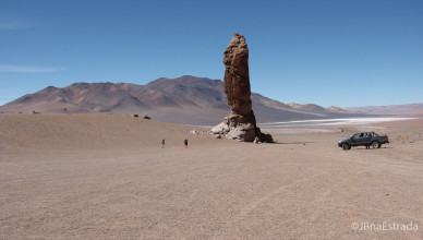 Chile - Atacama - Reserva Nacional Los Flamencos - Salar de Tara
