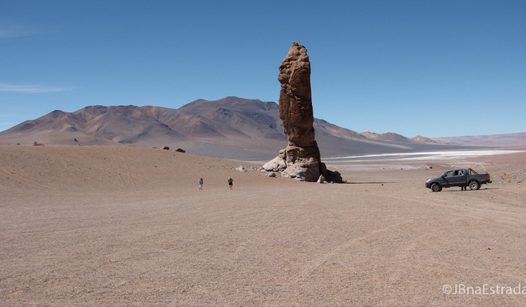 Chile - Atacama - Reserva Nacional Los Flamencos - Salar de Tara