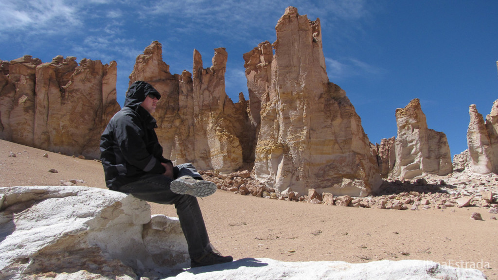 Chile - Atacama - Reserva Nacional Los Flamencos - Salar de Tara - Catedrais de Pedra